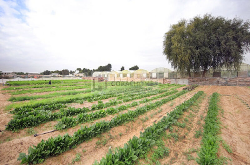 Huge Farm Plot Suited For Agricultural Use